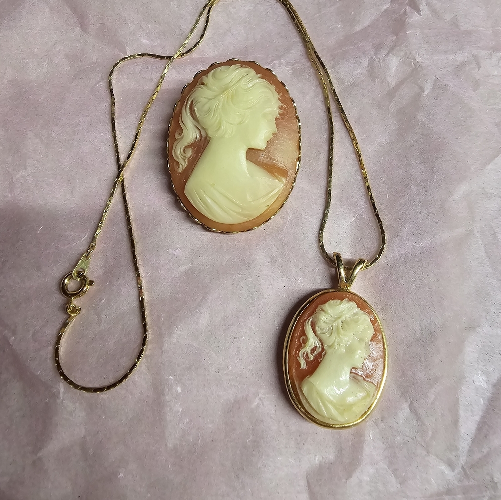 Cameo Necklace & Pin Set